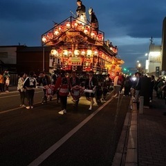 散歩仲間募集‼︎