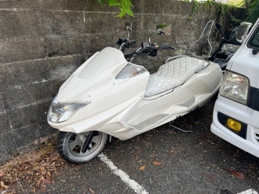 マグザム250