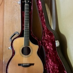 【状態良好】【上位モデル】HISTORY NT-501【ハードケース】【エレアコ】