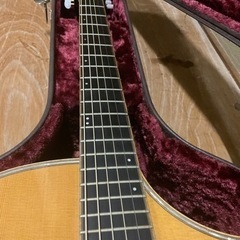 【状態良好】【上位モデル】HISTORY NT-501【ハードケース】【エレアコ】