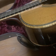 【状態良好】【上位モデル】HISTORY NT-501【ハードケース】【エレアコ】