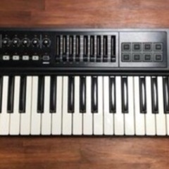 ROLAND  / A-500PRO MIDIキーボード/49鍵