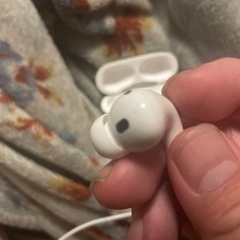 Apple Air pods pro 第二世代 Lightning版　箱無し　正規品