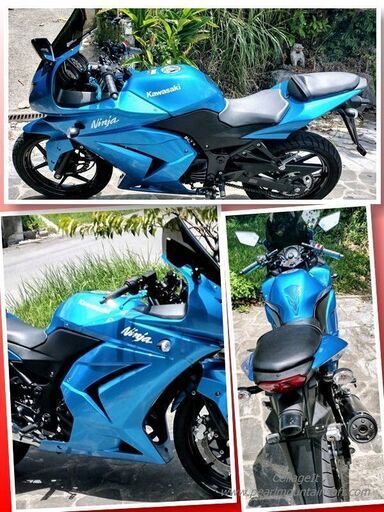 ニンジャ250R