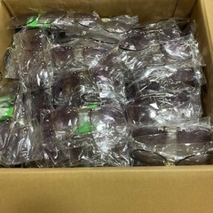 新品スーパーマリオ　サングラス