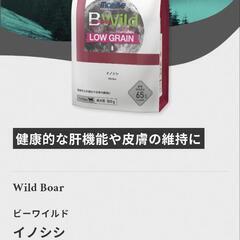 ★成犬用ドッグフード★　エルモ BWild イノシシ