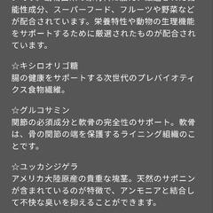 ★成犬用ドッグフード★　エルモ BWild イノシシ