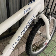 🔹キッズバイク🔹 LOUIS GARNEAU J206 (105-125cm)