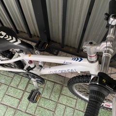 🔹キッズバイク🔹 LOUIS GARNEAU J206 (105-125cm)