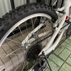 🔹キッズバイク🔹 LOUIS GARNEAU J206 (105-125cm)