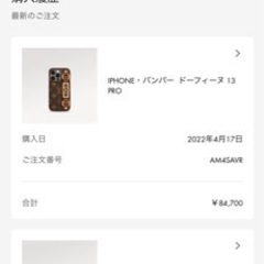 14日まで！ルイ・ヴィトン iPhone13Proケース 