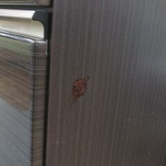 R536 国産近藤産業 キッチンボード、食器棚、幅119cm Used・キレイ