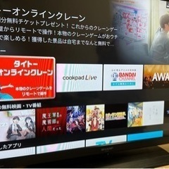 家電 テレビ 液晶テレビ