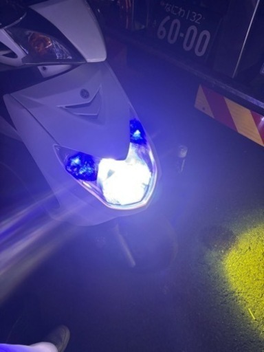 シグナス２型