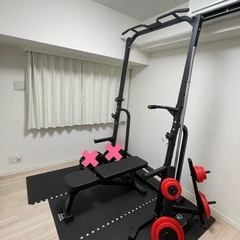 姫路市引き取り ADAキューブガーデン60cm 欠けなし？GEX水槽台 自作