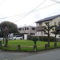 剪定・草刈り・お庭に関する作業全般
