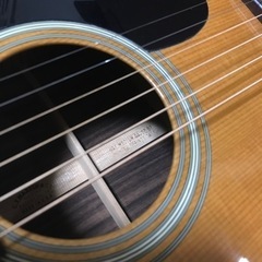 スーパーレア 1991年 1/20　C.F.Martin マーチン 00-21 純正ブラックケース付