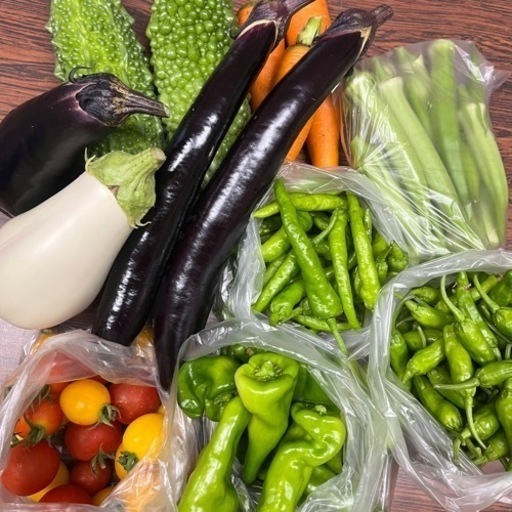 お得な採りたて大量夏野菜セット