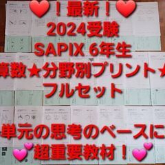 【★最新★2024受験】【未使用多数】Sapix6年 算数 分野別補充プリント⑬