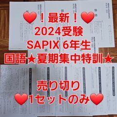 【★最新★2024受験】Sapix6年2023年度版 国語 夏期...