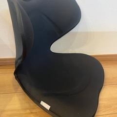 Style SMART スタイルスマート ボディメイクシート YS-AK03A