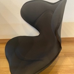 Style SMART スタイルスマート ボディメイクシート YS-AK03A