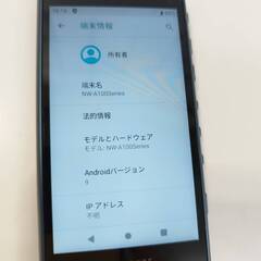 SONY ウォークマン NW-A100/16GB