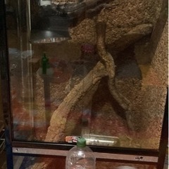 爬虫類ケージ900×590×450