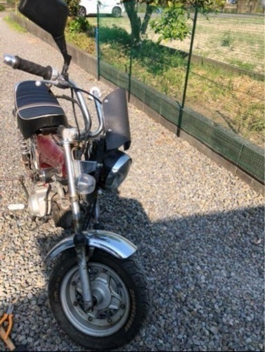 ダックス\n