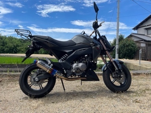 お話し中)Kawasaki z125 pro