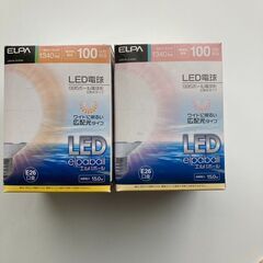 2個セット　LED電球　100W　1340ルーメン【005】