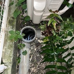 キッチンの詰まり、トイレの浴室詰まり、蛇口交換 