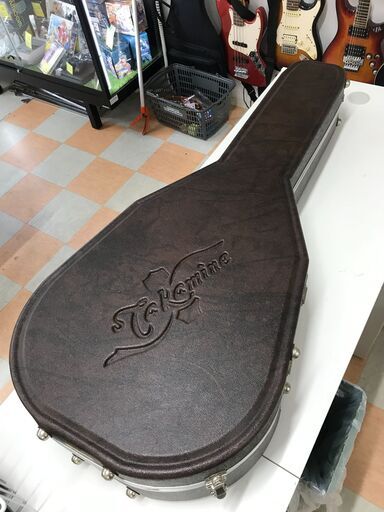 Takamine NPT-012 BS 公式通販 タカミネ TAKAMINE NPT012BS 
