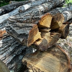 マキ材ナラ　玉切り材　軽トラ1台