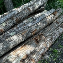 マキ材ナラ　玉切り材　軽トラ1台