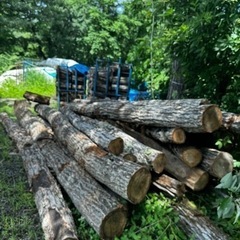 マキ材ナラ　玉切り材　軽トラ1台