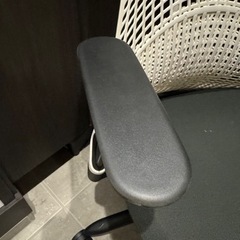 セイルチェアー　バーマンミラー