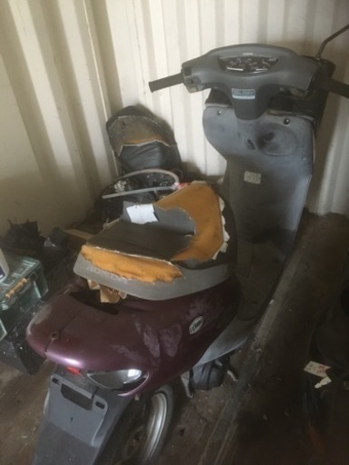 ホンダ　ライブディオチェスタ