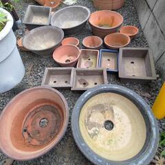 茨城県の盆栽鉢の中古が安い！激安で譲ります・無料であげます｜ジモティー 