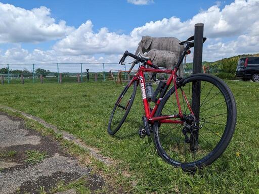 CINELLI EXPERIENCE 105 r7000 ロードバイク