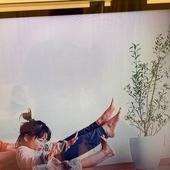 オリオン65インチテレビ