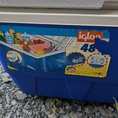 【ネット決済】igloo48 クーラーボックス