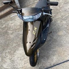 バイク ホンダ ライブディオZX