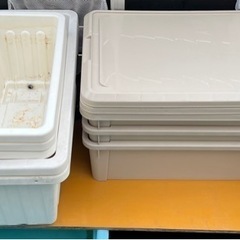 メダカの用品。船、タライなど 商談中。