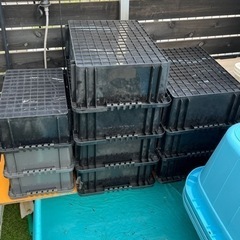 メダカの用品。船、タライなど 商談中。