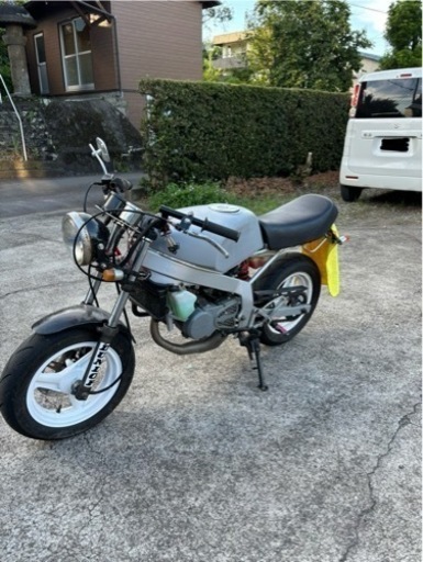 スズキ NSR50