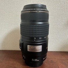 Canon EF75-300mm F4-5.6 IS USM(値...