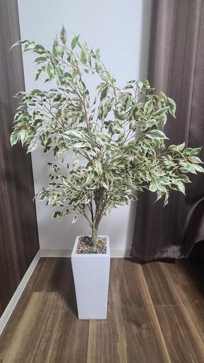観葉植物　フェイクグリーン　ニトリ