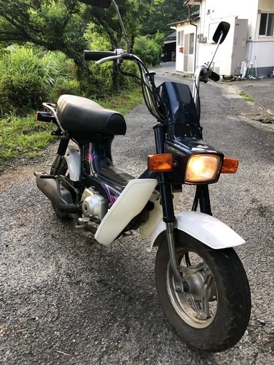 シャリー　CF50