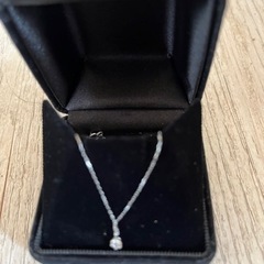 鑑定書付ptネックレス